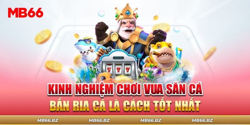 Kinh nghiệm bắn ria cá là cách tốt nhất