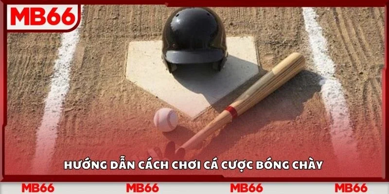 Hướng dẫn cách chơi cá cược bóng chày 