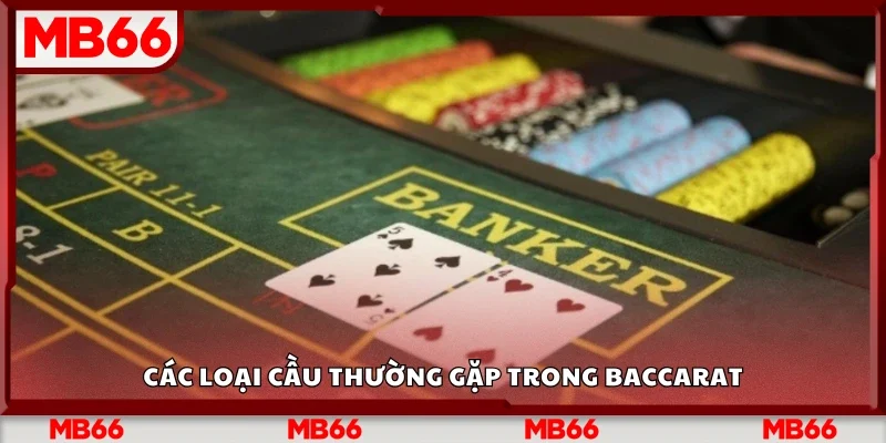 Một số loại cầu thường gặp trong baccarat
