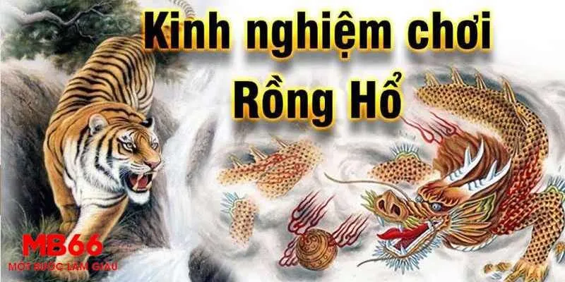 Chiến Lược Cược trong Rồng Hổ MB66