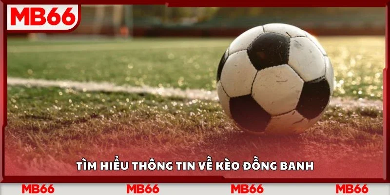 Tìm hiểu thông tin về kèo đồng banh